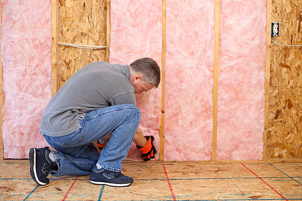 Best Cellulose Insulation  in East Liverpool, OH