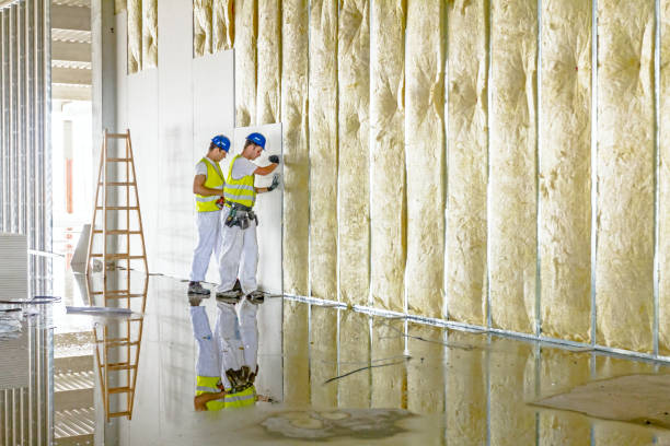 Best Insulation Repair Services  in East Liverpool, OH